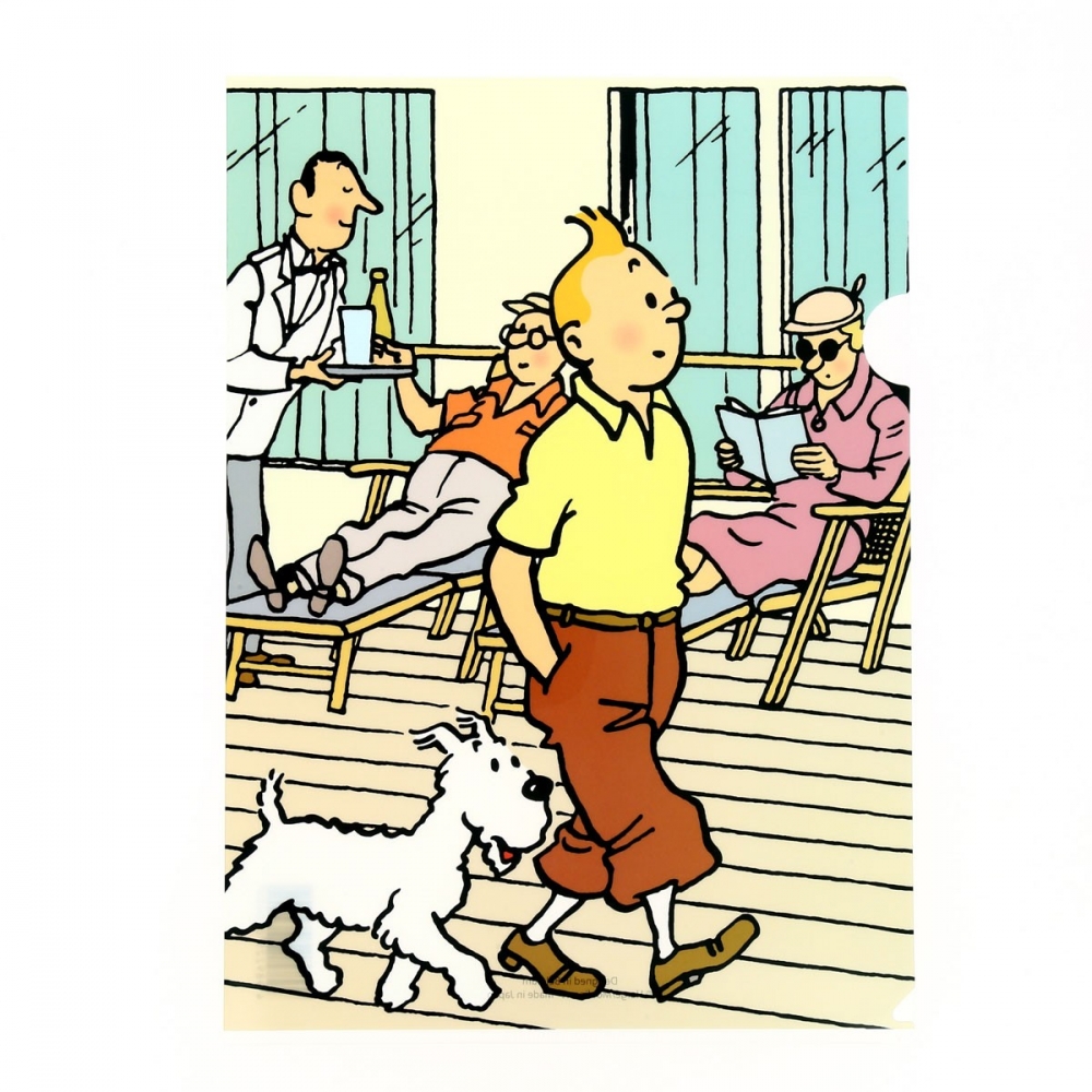 Pochette Plastique A4 Les Aventures De Tintin Et Milou Se Promenant