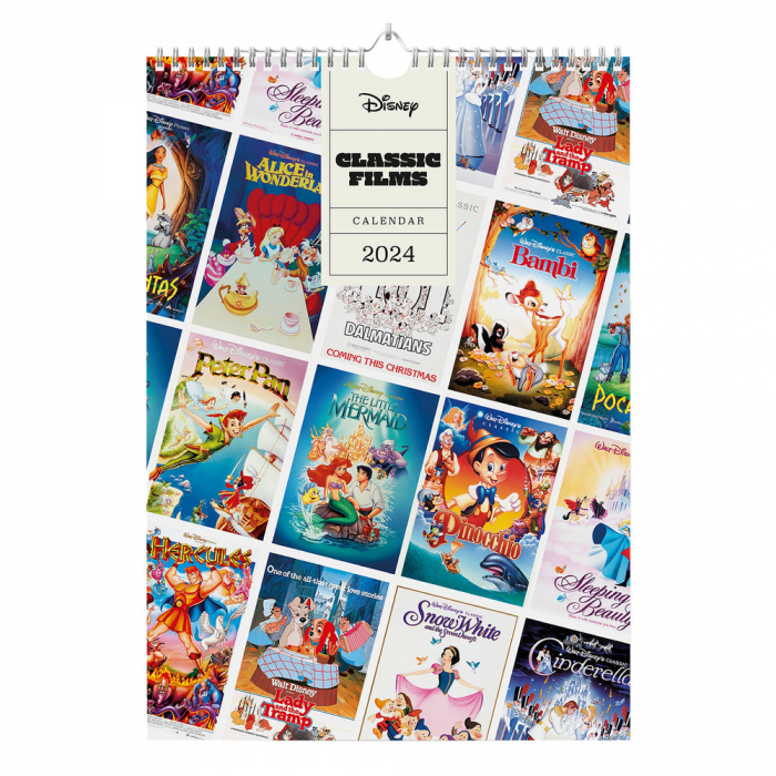 Grupo Erik Calendar 2024 Wall One Piece - Wall Calendar 2024 - Monthly  Planner 30x30cm | Manga Calendar 2024 - One Piece 2024 Calendar