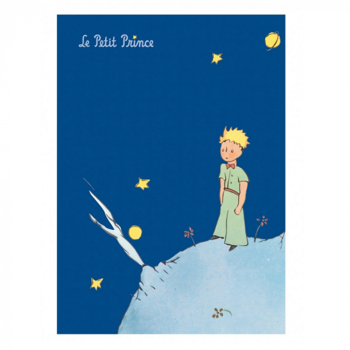 Notebook Petit Jour The Little Prince (15x21cm)