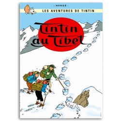 Tintin - Collection Officielle des Figurines Moulinsart - Livret Fascicule  + Pas